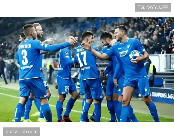 比赛事件：霍芬海姆因抗议任意球判罚，队长吃到黄牌