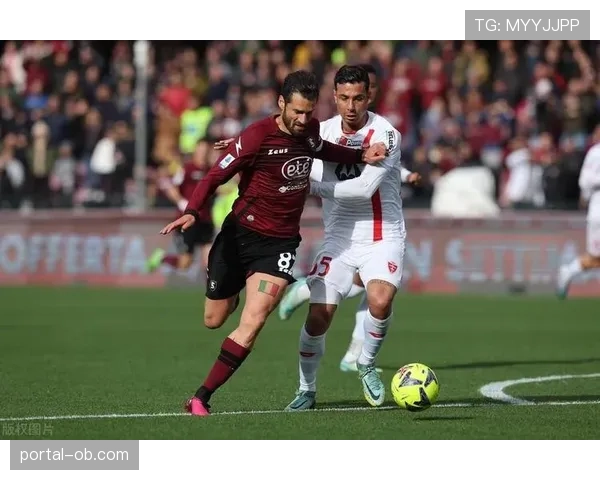 萨勒尼塔纳0-1不敌博洛尼亚，保级形势愈发严峻